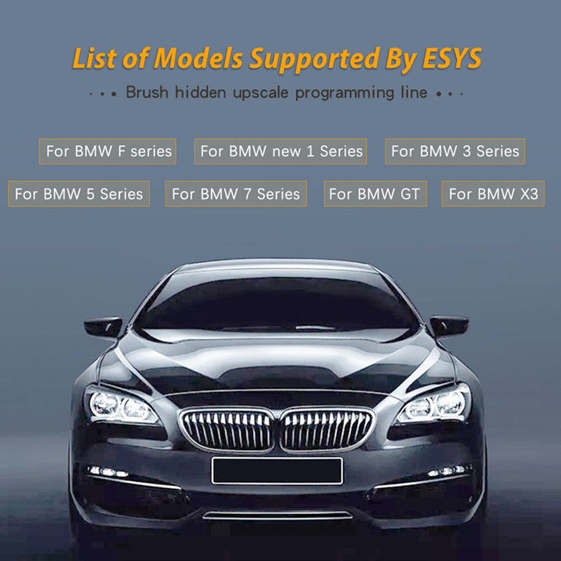 Высококачественный кабель ESYS – обзор и цена Ecu Programmer For Bmw F Series